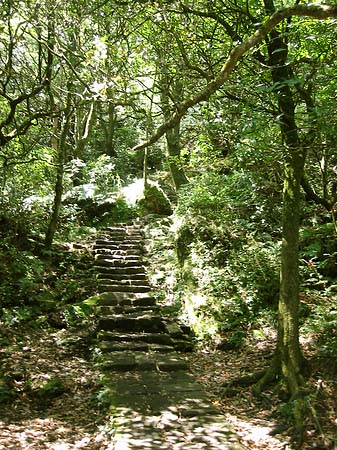 Fotos Yangminshan