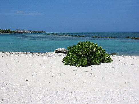 Foto Blick auf das Meer - 