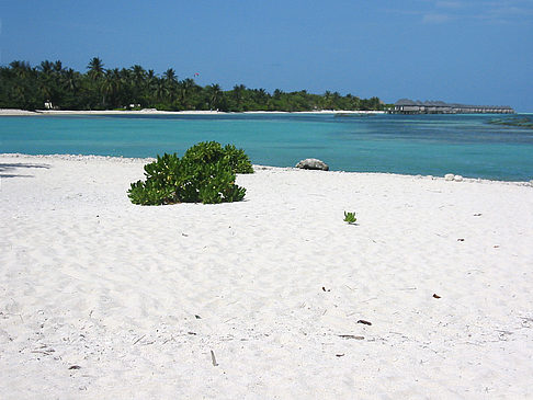 Fotos Der weiße Sandstrand