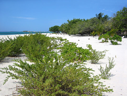 Foto Der weiße Sandstrand