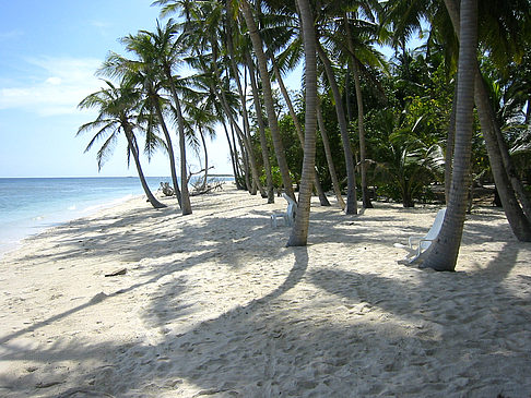 Fotos Der weiße Sandstrand | 