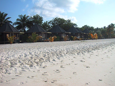 Fotos Der weiße Sandstrand der Malediven | 