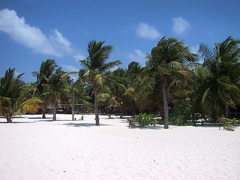 Der weiße Sandstrand der Malediven Fotos