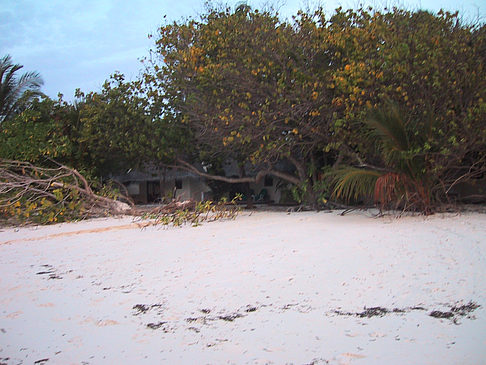 Fotos Der weiße Sandstrand der Malediven | 