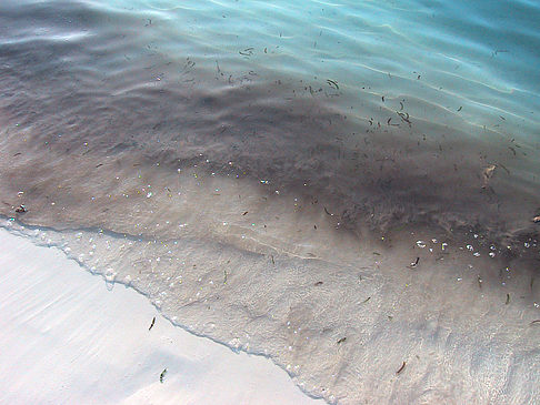 Der weiße Sandstrand der Malediven Fotos