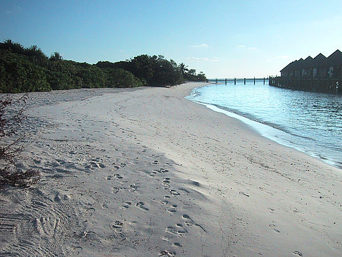 Foto Der weiße Sandstrand der Malediven