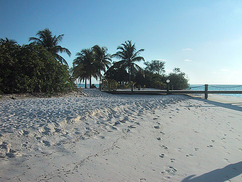 Der weiße Sandstrand der Malediven