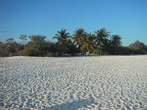 Der weiße Sandstrand der Malediven