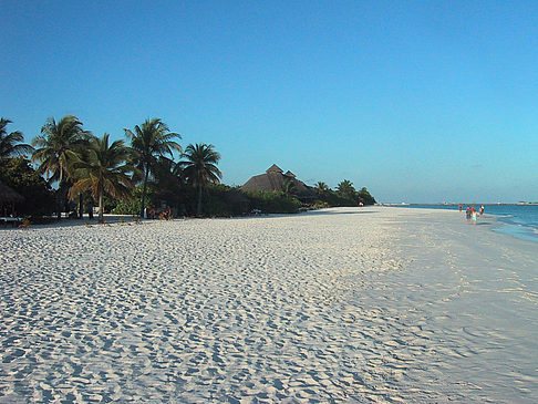 Der weiße Sandstrand der Malediven