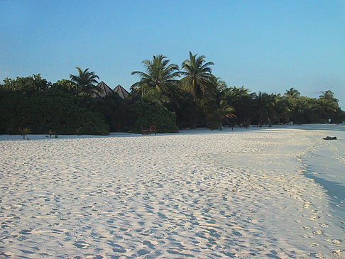 Der weiße Sandstrand der Malediven Fotos