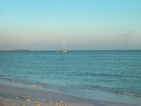 Foto Der weiße Sandstrand der Malediven - 