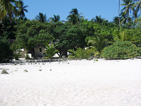 Foto Wohnungen am Strand