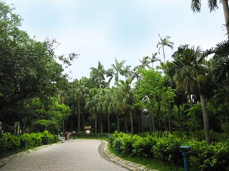 Foto Botanischer Garten