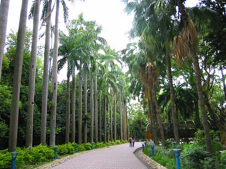 Botanischer Garten