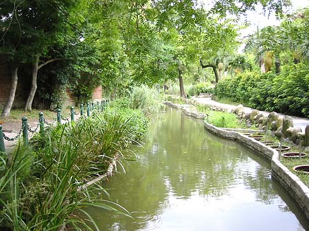 Foto Botanischer Garten - Taipeh