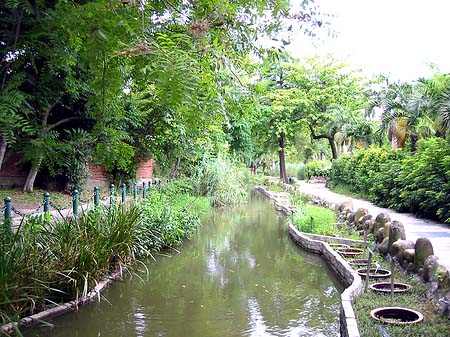 Foto Botanischer Garten