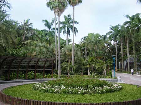 Foto Botanischer Garten - Taipeh