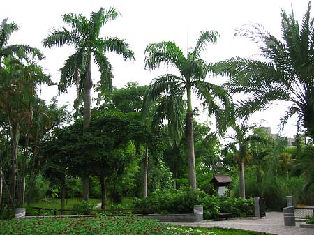 Foto Botanischer Garten