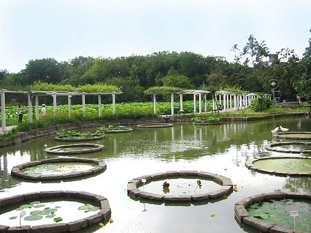 Foto Botanischer Garten - Taipeh