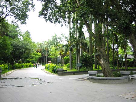 Botanischer Garten Foto 