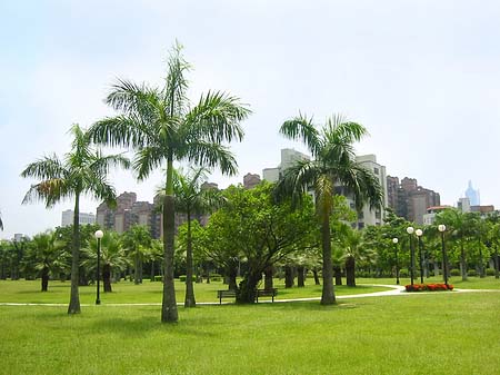 Foto Daan Park - Taipeh