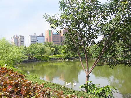 Fotos Daan Park | Taipeh