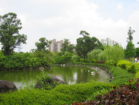 Foto Daan Park - Taipeh