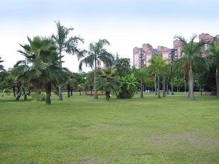 Foto Daan Park - Taipeh