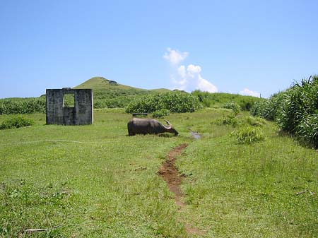 Green Island Foto 