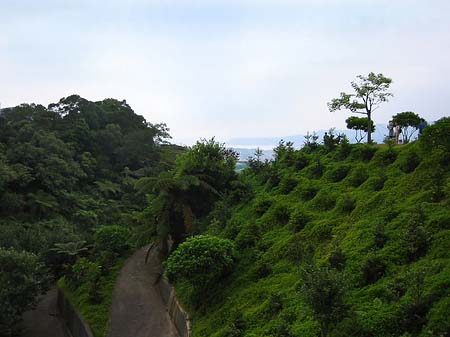 Foto Juming Museum - Taipeh