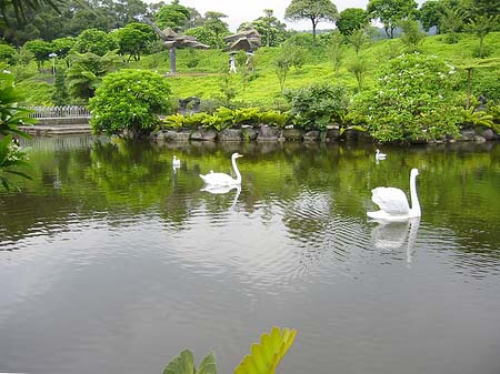 Fotos Juming Museum