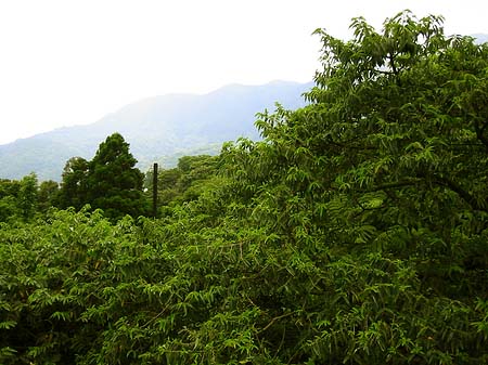 Fotos Yangminshan | 