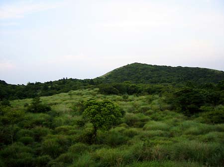 Yangminshan Foto 