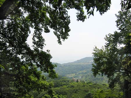 Yangminshan Foto 